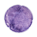 Almohadilla de Gel Circular - Imagen 5